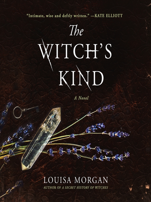 Title details for The Witch's Kind by Louisa Morgan - Wait list